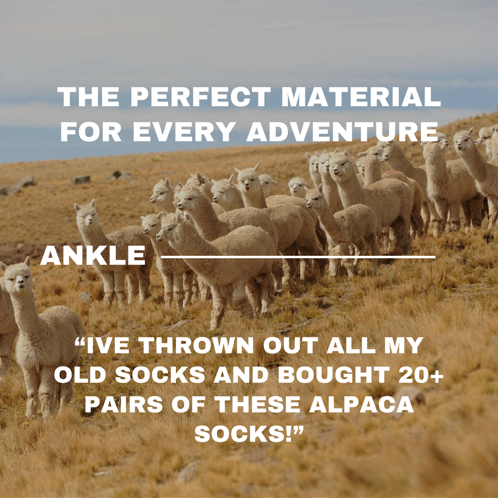 Ankle Socks